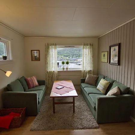 Visnesvegen ストリン